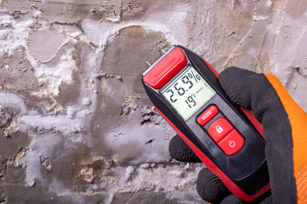 Best Crawl Space Mold Removal  in Roselle Park, NJ
