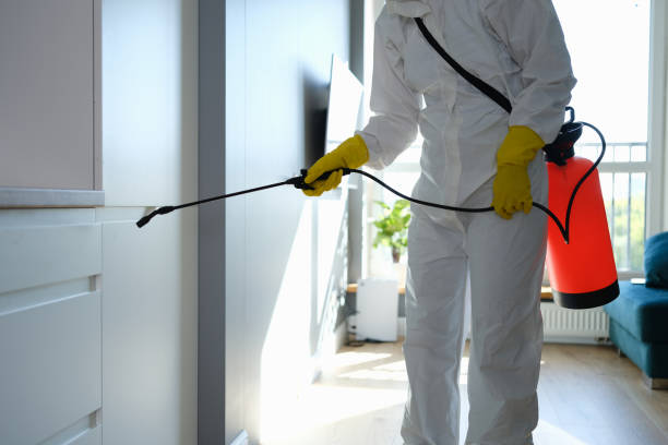 Best Residential Mold Removal  in Roselle Park, NJ