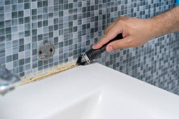 Best Mold Testing  in Roselle Park, NJ