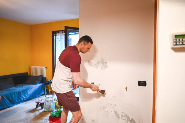 Best Affordable Mold Removal  in Roselle Park, NJ